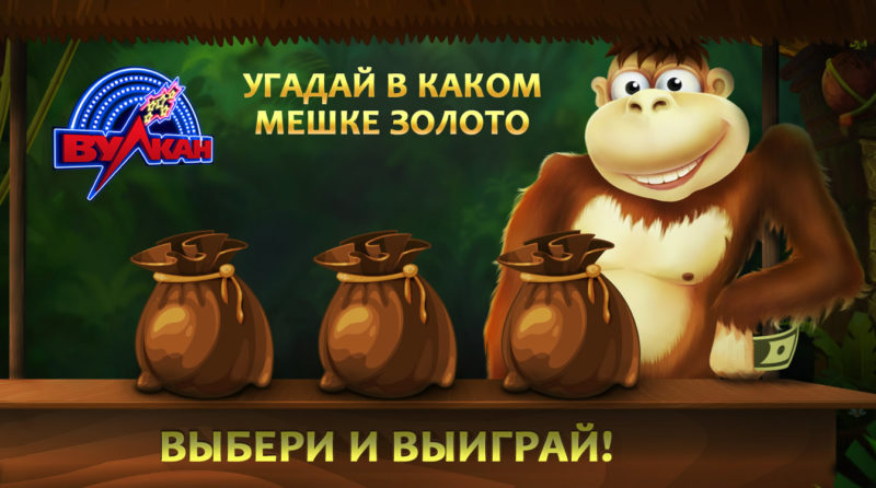 Crazy Monkey играть онлайн бесплатно
